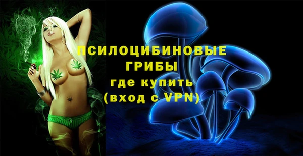 а пвп мука Верея